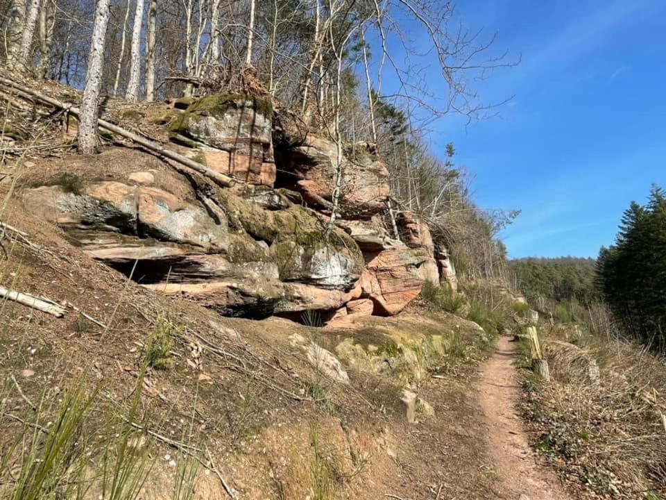 Rodalben Ferienwohung Am Felsenwanderweg Im Pfaelzerwald 아파트 외부 사진