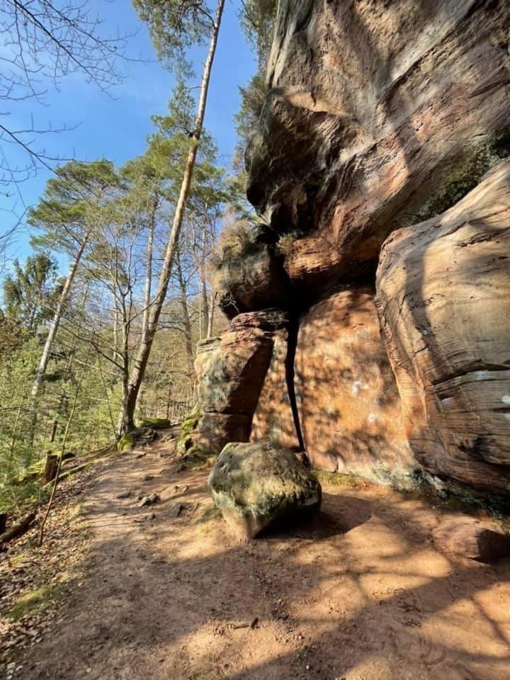 Rodalben Ferienwohung Am Felsenwanderweg Im Pfaelzerwald 아파트 외부 사진